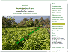 Tablet Screenshot of e-stewia.pl